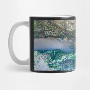 Tide Pools Mug